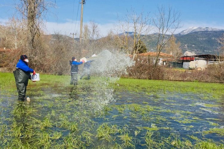 Muğla’da yağış sonrası vektörle mücadele sürüyor