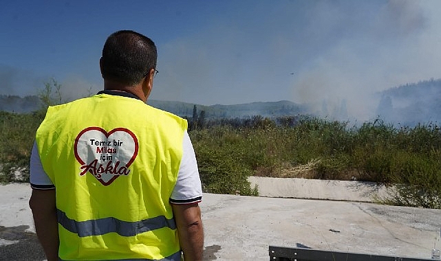 Milas'taki yangına canhıraş mücadele sürüyor