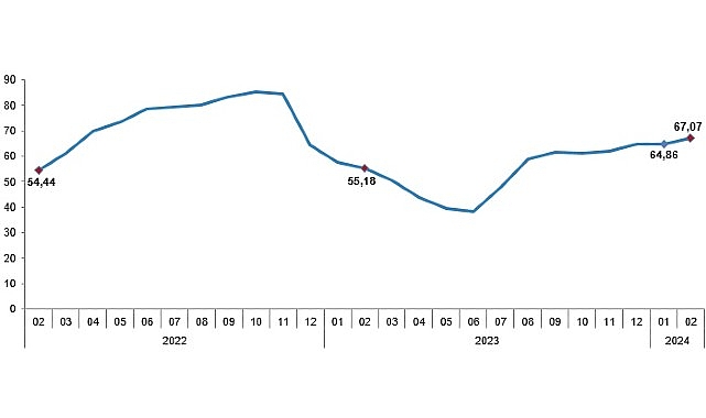 TÜİK: Tüketici fiyat endeksi (TÜFE) yıllık %67,07, aylık %4,53 arttı